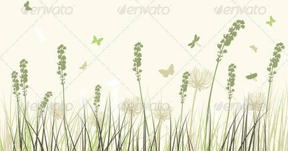 Box summer meadow sep 06 2014 01 590