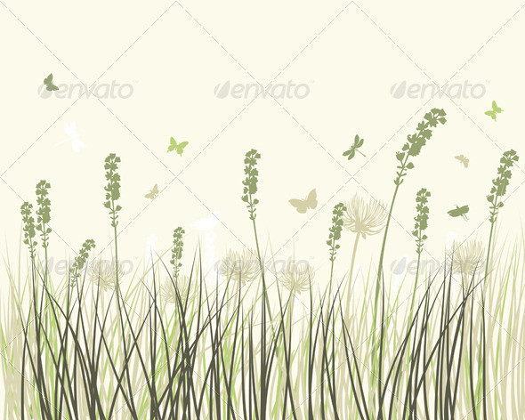 Summer meadow sep 06 2014 01 590