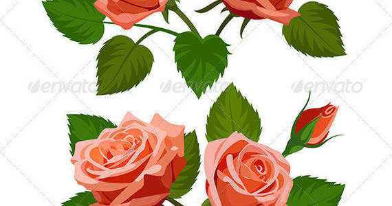 Box vector 20roses