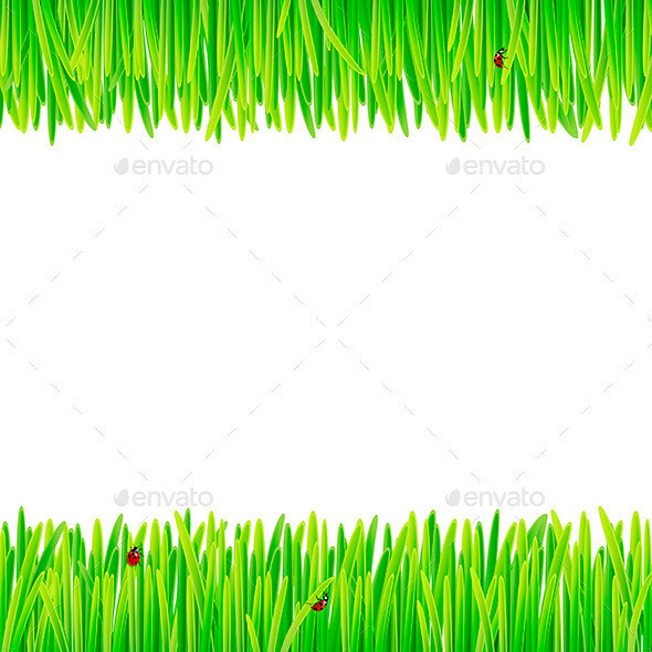 Background 20of 20spring 20grass