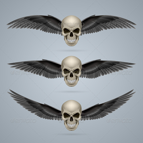 Evil skull with black wings crow 01 590