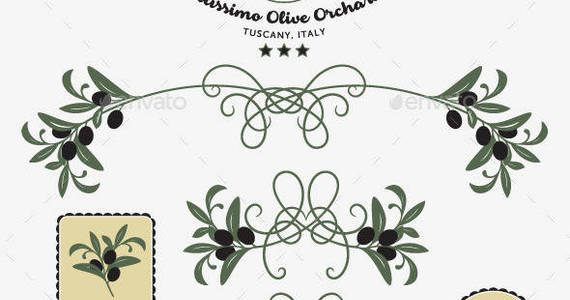 Box olives 20labels 20packaging 20decorative 20elements 20organic