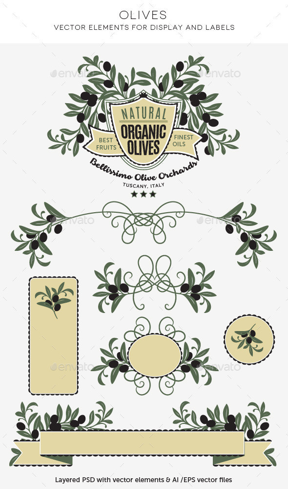 Olives 20labels 20packaging 20decorative 20elements 20organic