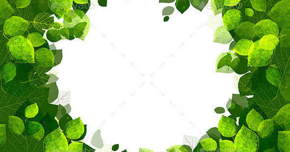 Box summer 20banner 20of 20green 20foliage