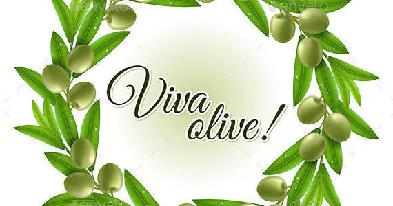 Box viva olive z oliva oliva 02 590