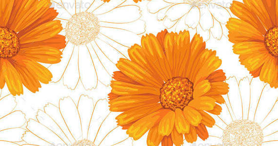 Box calendula pattern1 preview