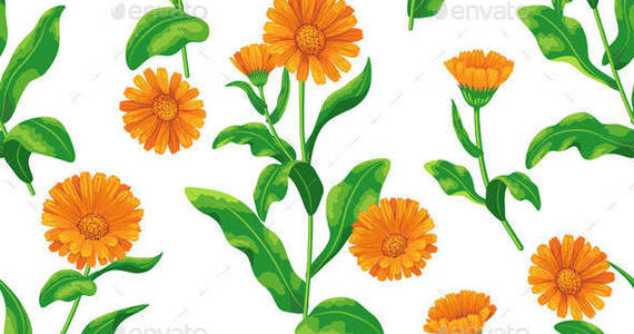 Box calendula pattern2 preview