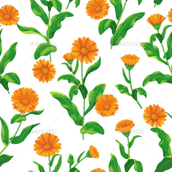 Calendula pattern2 preview