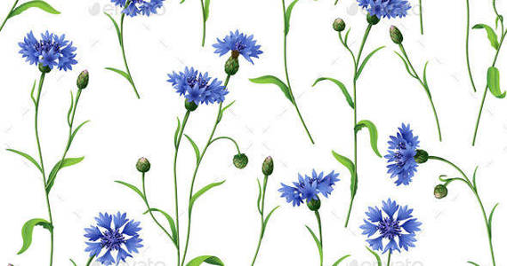 Box cornflower pattern preview