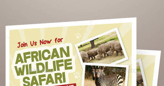 Box graphic river wildlife safari flyer templates kinzi21