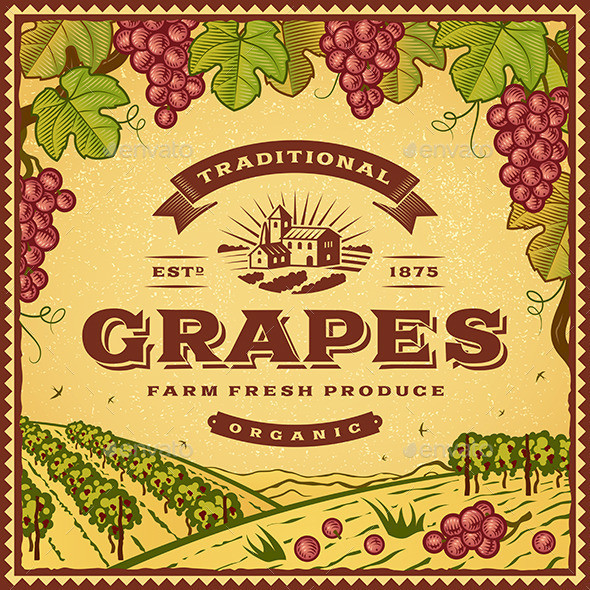 P vintage grapes label