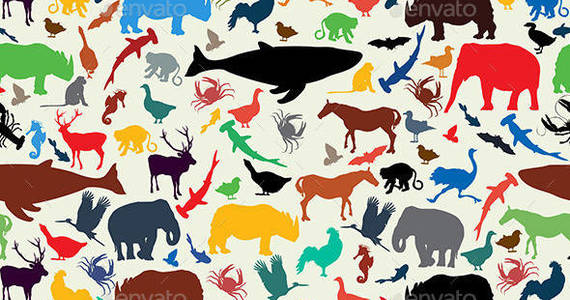 Box zoo 20pattern 20590 20wide