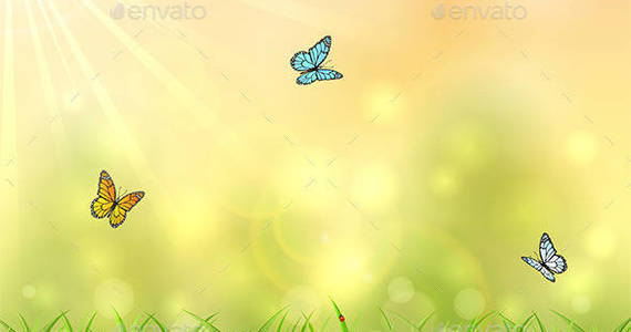 Box nature 20background 20with 20three 20butterflies 201
