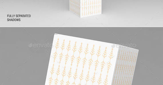 Box packaging 20mockups 20127 20preview