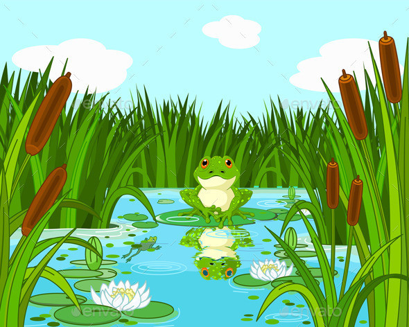 15pond frog001