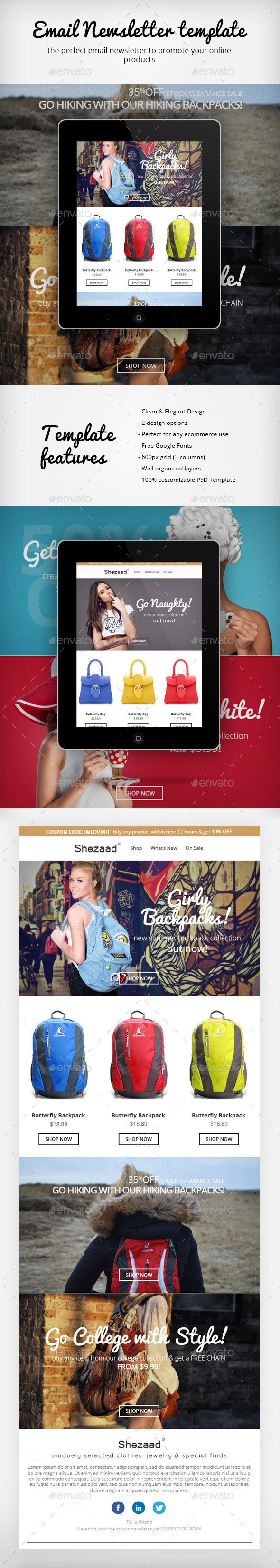 Email newsletter template preview
