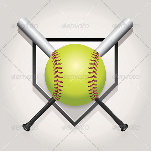 Softball bat plate