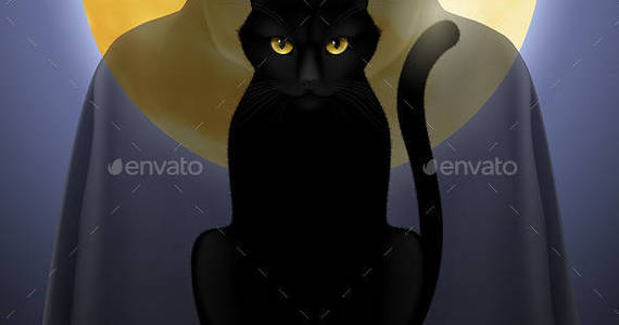 Box cat black info 03 590