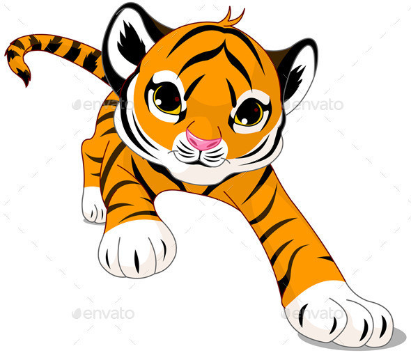 Tiger run 001