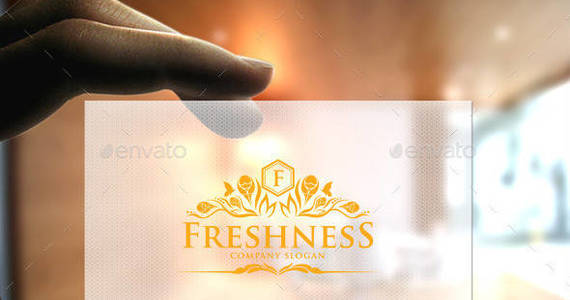 Box freshness retro logo preview