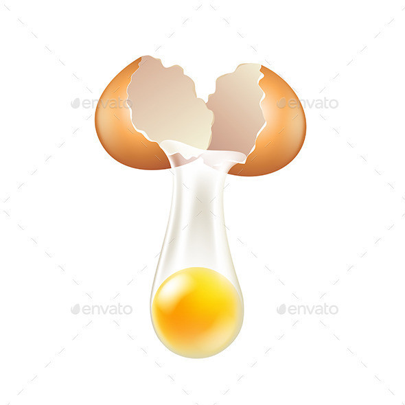 Broken egg shells isolated