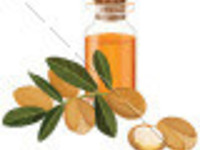 Thumb argan1