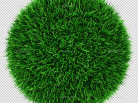 Thumb 01 grass