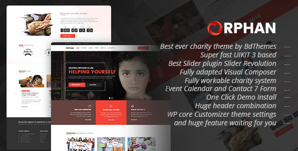 Orphan charity wordpress theme.  large preview