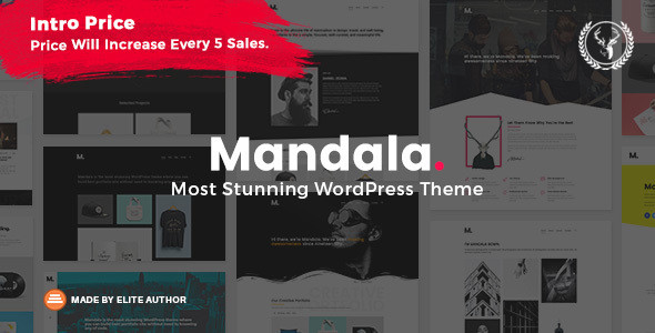 Mandala new themeforest intro.  large preview