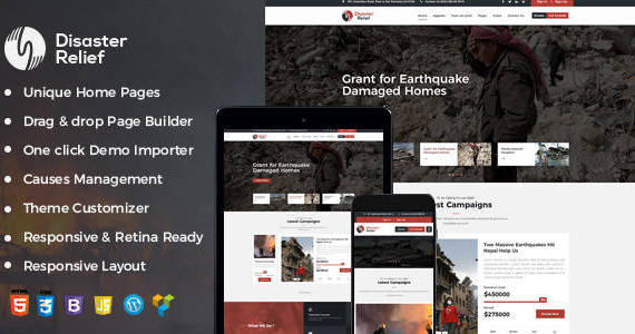 Box wp charity theme preview.  large preview