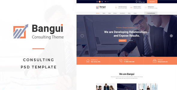 00 bangui consulting psd preview.  large preview