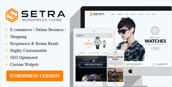 Setra wp preview.  large preview