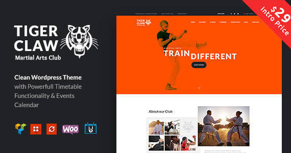 Box 00 preview tiger.  large preview