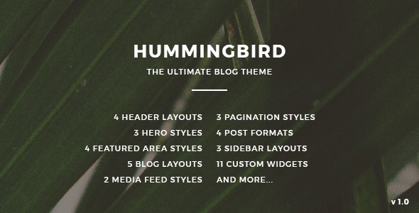 01 hummingbird teaser.  large preview