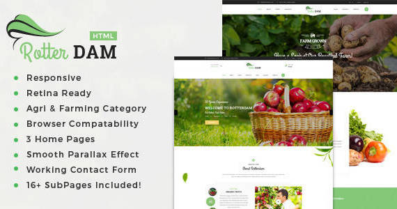 Box 00 rotterdam agri html preview.  large preview