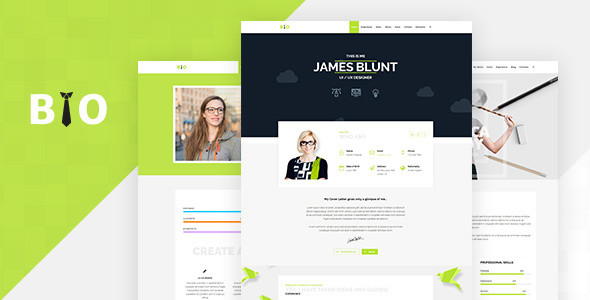 Resume preview.  large preview