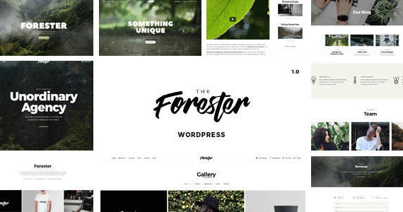 Box 00 forester preview.  large preview.  large preview