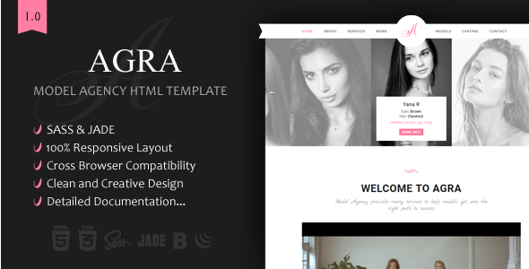Agra theme themeforest.  large preview