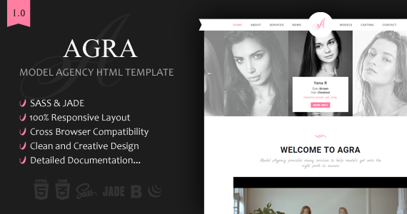 Box agra theme themeforest.  large preview