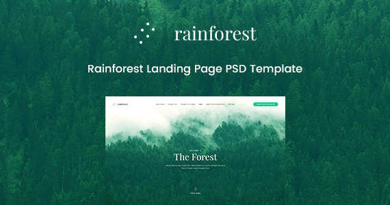 Box 01 rainforest preview.  large preview