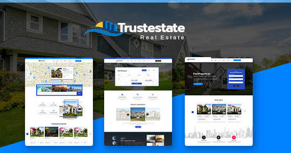 Box 00 trustestate banner 00.  large preview