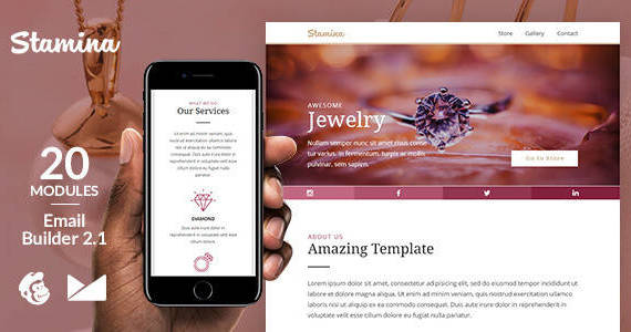 Box 01 stamina 20email template.  large preview