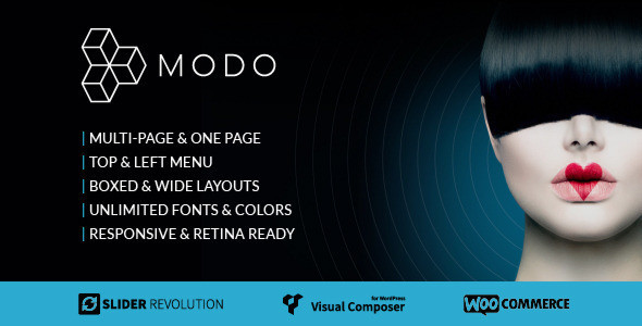 Modo wordpress theme.  large preview