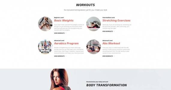 Box fitnesto fitness  gym premium moto cms 3 template 64206 original