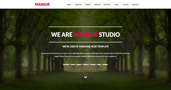 Box 01.mansur parallax one page muse themes.  large preview
