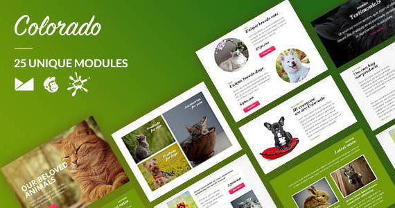 Box preview 20colorado 20email template.  large preview