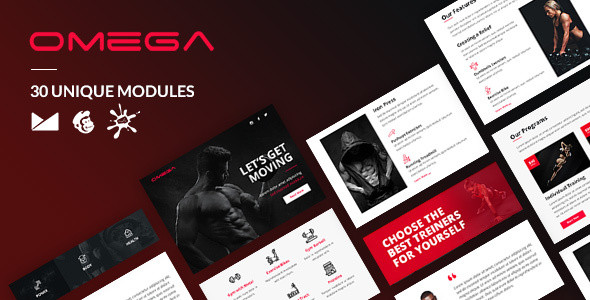 Preview 20omega 20email template.  large preview