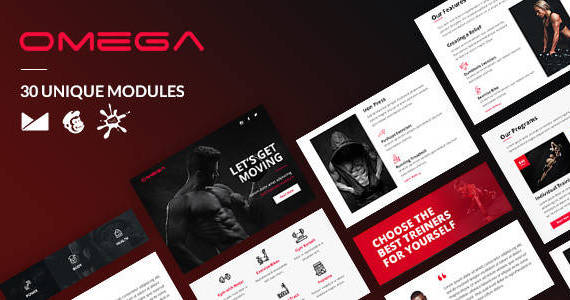 Box preview 20omega 20email template.  large preview