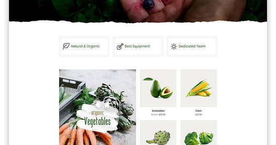 Box herber accurate organic food online store website template 58411 original