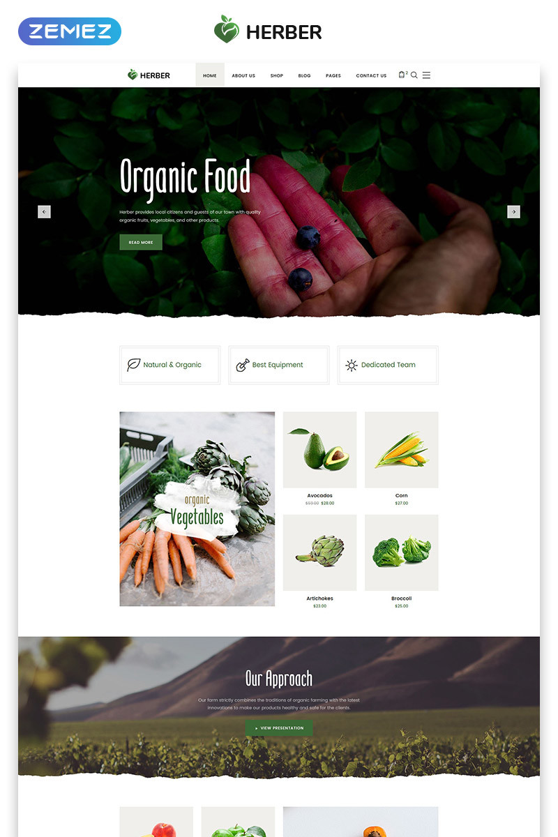 Herber accurate organic food online store website template 58411 original